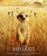 Сурикаты / The Meerkats (2008)