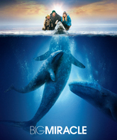 Все любят китов / Big Miracle (2012)