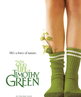 Странная жизнь Тимоти Грина / The Odd Life of Timothy Green (2012)