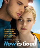 Сейчас самое время / Now Is Good (2012)