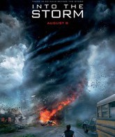 Навстречу шторму / Into the Storm (2014)