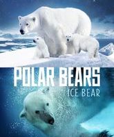 Белый медведь: Медведи на льду / Polar Bears: Ice Bear (2013)