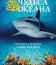 Чудеса океана / Ocean Wonderland (IMAX)