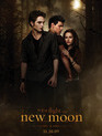 Сумерки. Сага. Новолуние / The Twilight Saga: New Moon (2010)