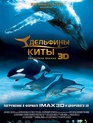 Дельфины и киты 3D / Dolphins and Whales 3D: Tribes of the Ocean (IMAX) (2008)