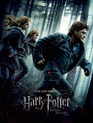 Гарри Поттер и Дары смерти: Часть 1 / Harry Potter and the Deathly Hallows: Part 1 (2010)