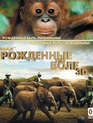 Рожденные на воле (3D) [Blu-ray 3D] / Born to Be Wild (3D)