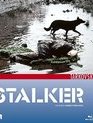 Сталкер [Blu-ray] / Stalker