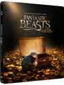 Фантастические твари и где они обитают (3D+2D Steelbook) [Blu-ray 3D] / Fantastic Beasts and Where to Find Them (3D+2D Steelbook)