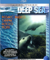 Тайны Белого моря: Релакс видео [Blu-ray] / Mysteries of the White Sea: The Great Salma