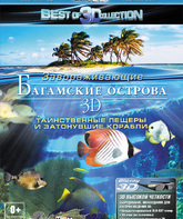 Багамские острова: Таинственные пещеры и затонувшие корабли (3D) [Blu-ray 3D] / Adventure Bahamas: Mysterious Caves And Wrecks (3D)