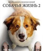 Собачья жизнь 2 [Blu-ray] / A Dog's Journey