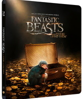 Фантастические твари и где они обитают (3D+2D Steelbook) [Blu-ray 3D] / Fantastic Beasts and Where to Find Them (3D+2D Steelbook)