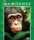 Шимпанзе [Blu-ray] / Chimpanzee