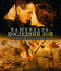 Пашендаль: Последний бой [Blu-ray] / Passchendaele