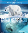 Белый медведь: Медведи на льду (3D) [Blu-ray 3D] / Polar Bears: Ice Bear (3D)