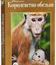 Королевство обезьян [Blu-ray] / Monkey Kingdom