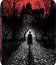Дракула (Remastered) Steelbook [Blu-ray] / Bram Stoker's Dracula (Steelbook)