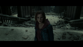 Гарри Поттер и Дары смерти: Часть 2 (2-х дисковое издание) [Blu-ray] / Harry Potter and the Deathly Hallows: Part 2 (2-Disc Edition)