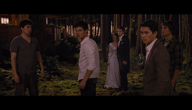 Сумерки. Сага. Рассвет: Часть 1 [Blu-ray] / The Twilight Saga: Breaking Dawn - Part 1