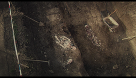 Зона мертвых / Голод / Охота на кабана [Blu-ray] / Zone of the Dead / The Donner Party / Pig Hunt
