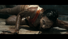 Зловещие мертвецы: Черная книга [Blu-ray] / Evil Dead