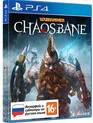 Молот войны: Chaosbane / Warhammer: Chaosbane (PS4)