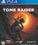 Тень расхитительницы гробниц / Shadow of the Tomb Raider (PS4)