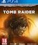 Тень расхитительницы гробниц (Издание Croft) / Shadow of the Tomb Raider. Croft Edition (PS4)