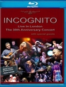 Incognito: концерт к 30-летию группы в Лондоне / Incognito: Live in London - The 30th Anniversary Concert (Blu-ray)
