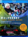Летний концерт 2015 в Вальдбюне / Waldbuhne 2015: Lights, Camera, Action (Blu-ray)