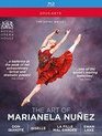 Искусство Марианелы Нуньес: Сборник из 4 балетов / The Art of Marianela Nunez (Blu-ray)