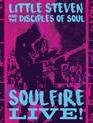 Стивен Ван Зандт и Disciples of Soul: концерт в Cavern Club / Little Steven and the Disciples of Soul: Soulfire Live! (Blu-ray)