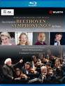 Бетховен: Симфония №9 на концерте Юнеско / The UNESCO Beethoven Symphony No. 9 for Peace (Blu-ray)