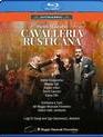 Масканьи: Сельская честь / Mascagni: Cavalleria rusticana - Theatro del Maggio Musicale Fiorentino (2019) (Blu-ray)
