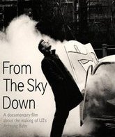 U2: С небес на Землю / U2: From The Sky Down (2011) (Blu-ray)