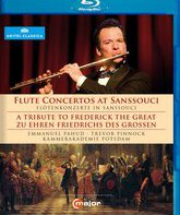 Концерты для флейты во дворце Сан-Суси / Flute Concertos at Sanssouci (2011) (Blu-ray)