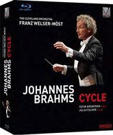 Иоганнес Брамс: цикл концертов / Johannes Brahms Cycle (2015) (Blu-ray)