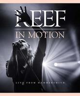 Reef: В движении - концерт в театре Hammersmith Apollo / Reef: In Motion - Live from Hammersmith (2018) (Blu-ray)