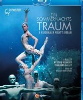 Мендельсон и Ноймайер: Балет "Сон в летнюю ночь" / A Midsummer Night’s Dream: A Ballet by John Neumeier (Blu-ray)