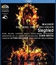 Вагнер: "Зигфрид" / Wagner: Siegfried - Staged by La Fura Dels Baus (2008) (Blu-ray)