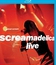 Primal Scream: концерт Screamadelica в Лондоне / Primal Scream: Screamadelica, Live (2010) (Blu-ray)
