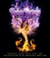 Deep Purple: мировое турне 1975/1976 / Deep Purple: Phoenix Rising (Blu-ray)