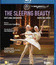 Чайковский: Спящая красавица / Tchaikovsky: The Sleeping Beauty - Bolshoi Theater (2011) (Blu-ray)