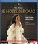 Моцарт: Женитьба Фигаро / Mozart: Le nozze di Figaro - Glyndebourne Opera (1994) (Blu-ray)