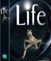 Жизнь (сериал) / BBC: Life (TV series) (2009)