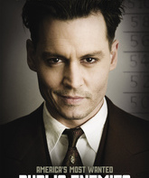 Джонни Д. / Public Enemies (2009)