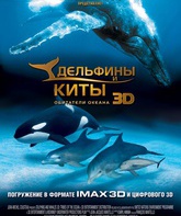 Дельфины и киты 3D / Dolphins and Whales 3D: Tribes of the Ocean (IMAX) (2008)