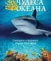 Чудеса океана / Ocean Wonderland (IMAX) (2003)