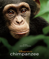 Шимпанзе / Chimpanzee (2012)